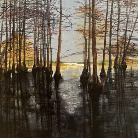 cypress swamp 3