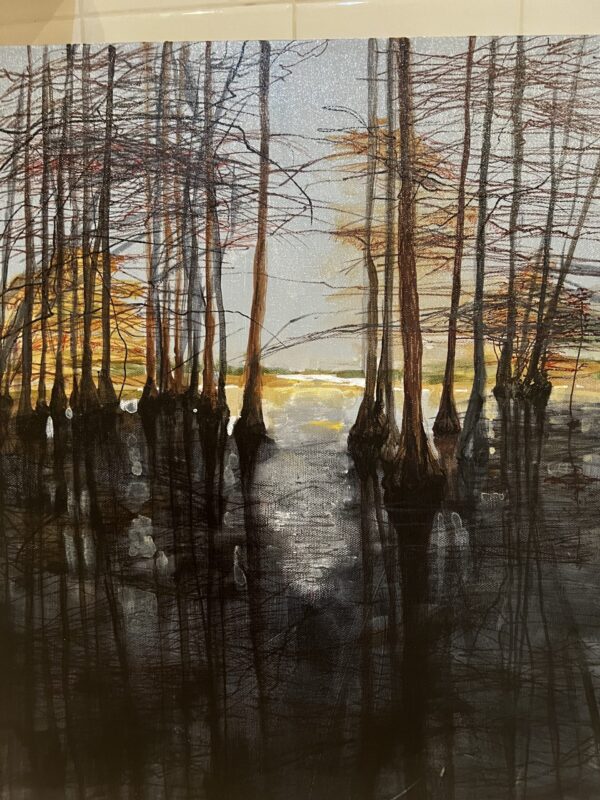 cypress swamp 3