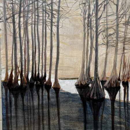 cypress swamp 1