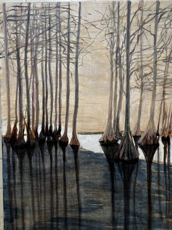 cypress swamp 1