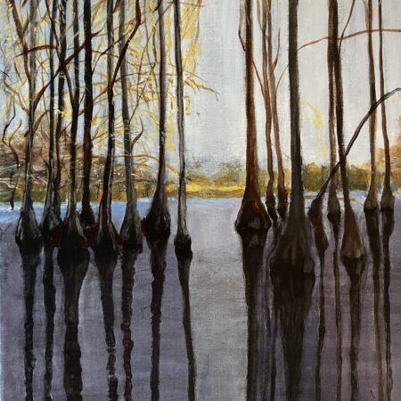 cypress swamp 2