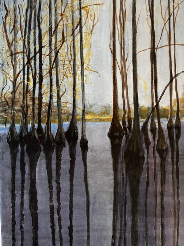 cypress swamp 2