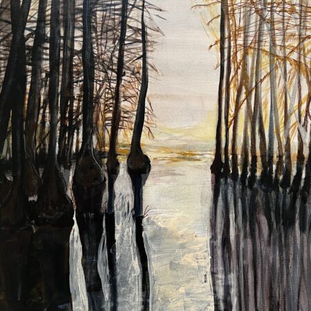 cypress swamp 4