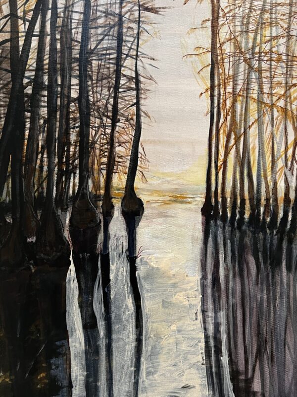 cypress swamp 4